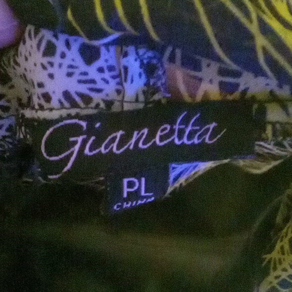 Chic Multicolor Sheer Women's Blouse - Picture 5 of 5